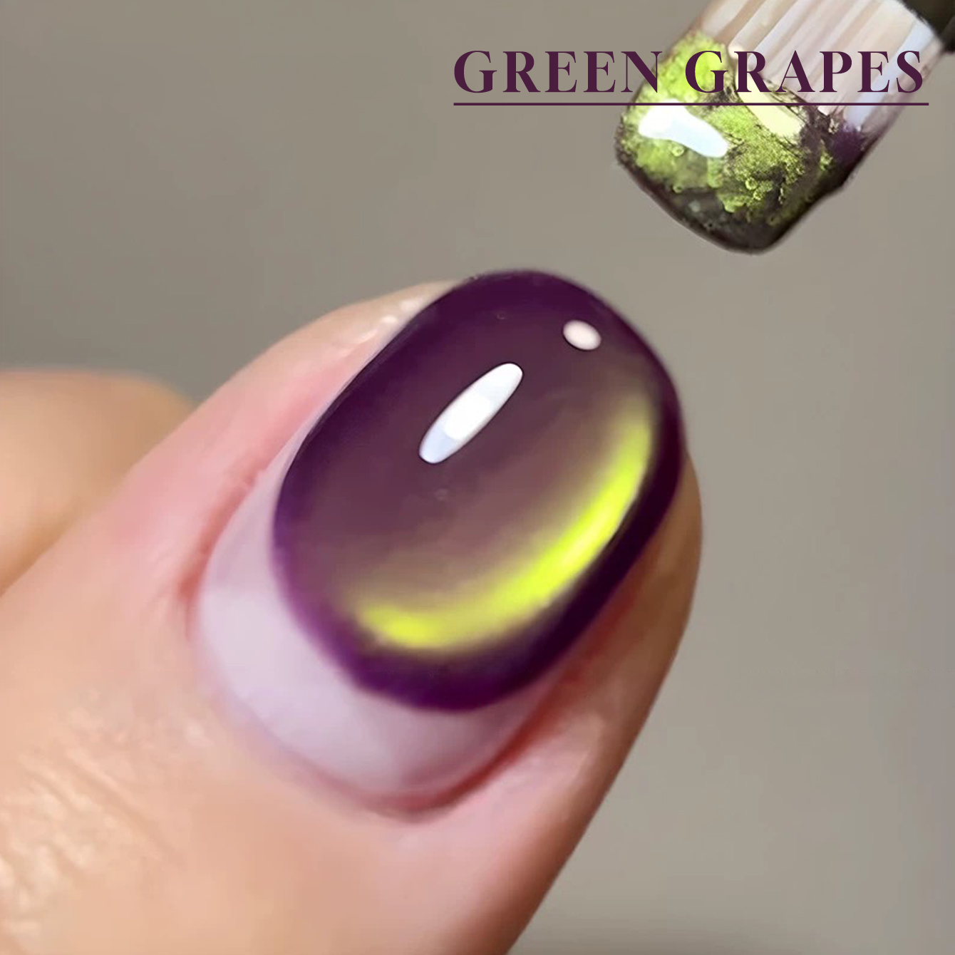 طلاء أظافر جل عين القط الأرجوا - مراجعة Nail Art Trend 2026 وسعره